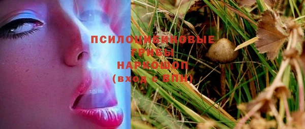 2c-b Алексин