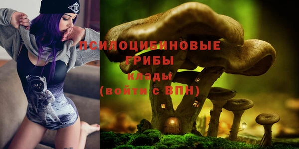 a pvp Алексеевка