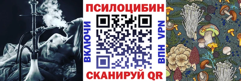 Галлюциногенные грибы Psilocybine cubensis  Краснокамск 