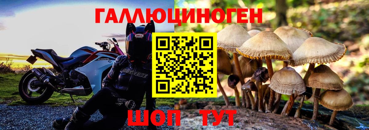 Галлюциногенные грибы GOLDEN TEACHER  сколько стоит  Краснокамск  Вход с VPN 